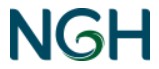 NGH Consulting logo